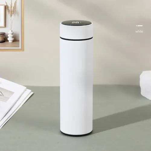 500ml Temperature Bottle
